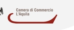 CCIIAA_logo_aq